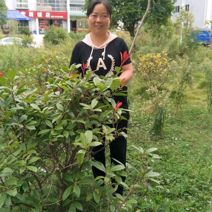 赵二
