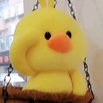 吊篮小黄鸭