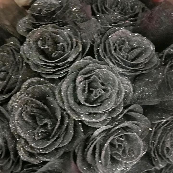 有钱💰 就花