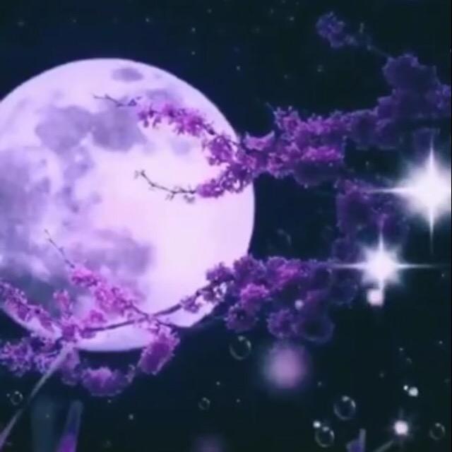 骑蜗牛上高速