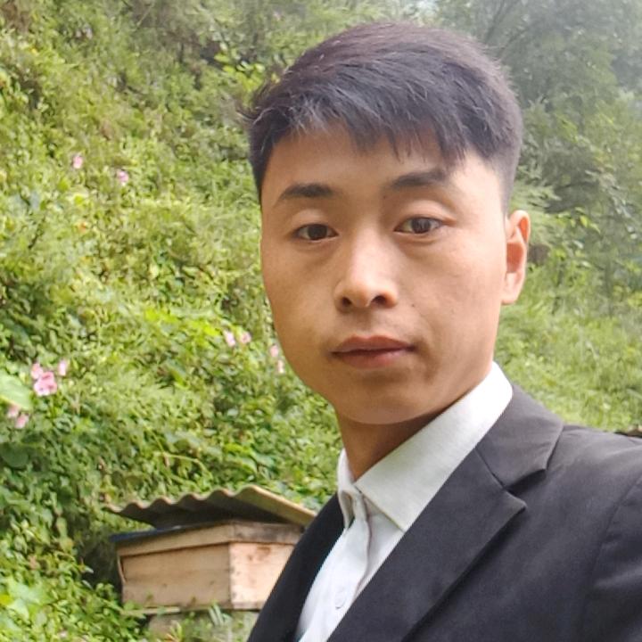 养蜂小谭