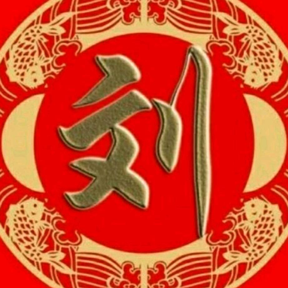 大刘哥💪