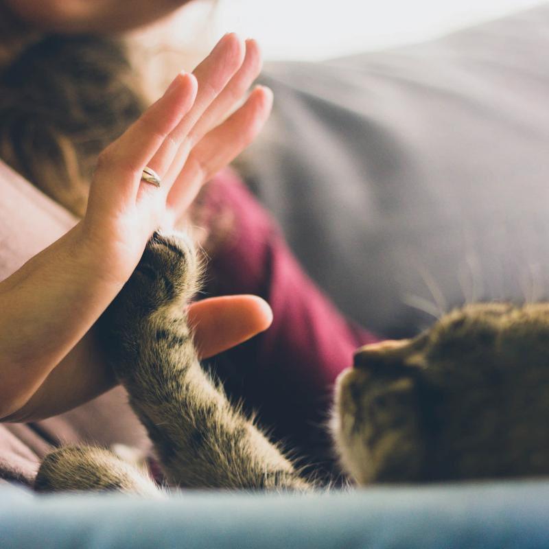 贵港摩托证驾考