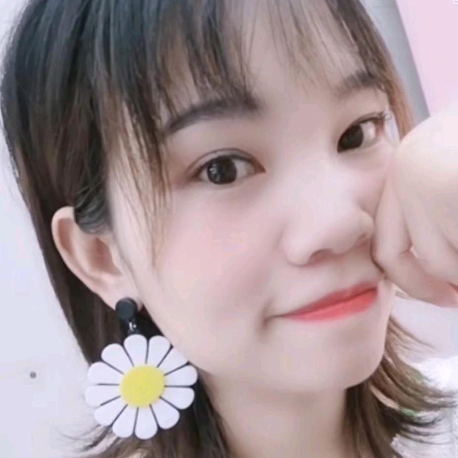 比亚迪D华子