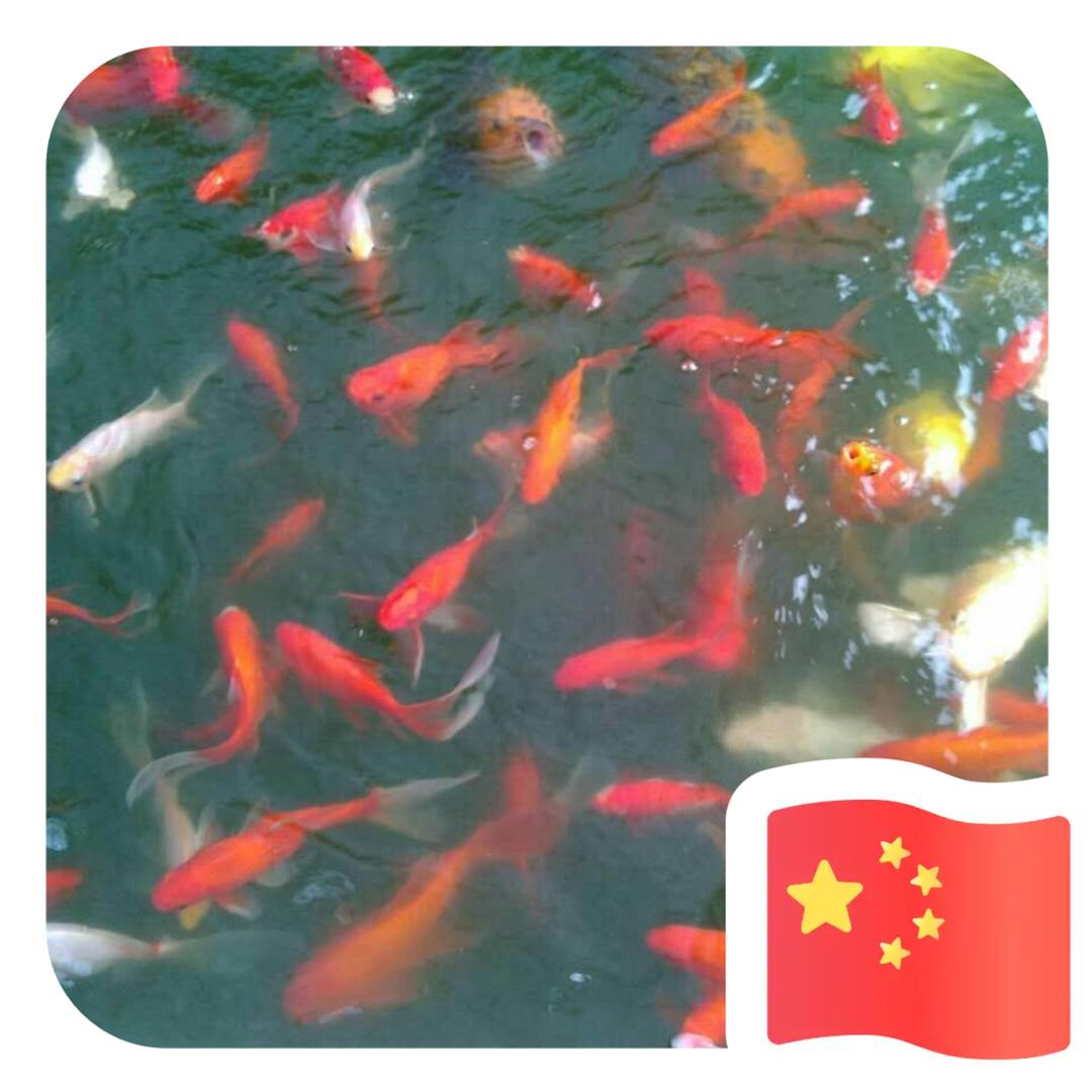佳