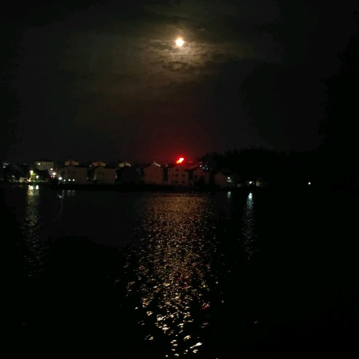 种业领航者