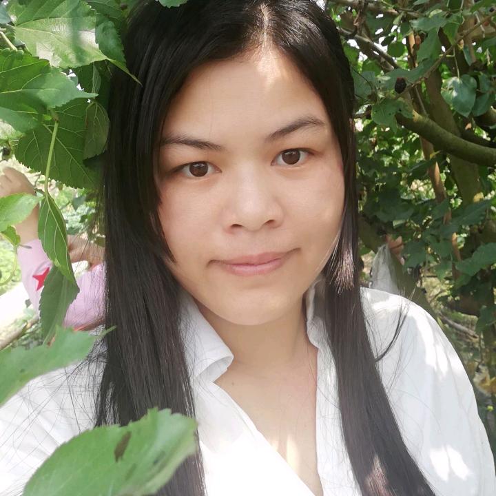 南方燕子