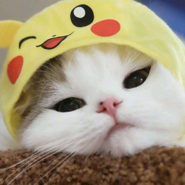 木木暮暮