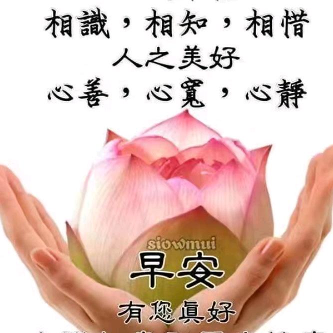梅