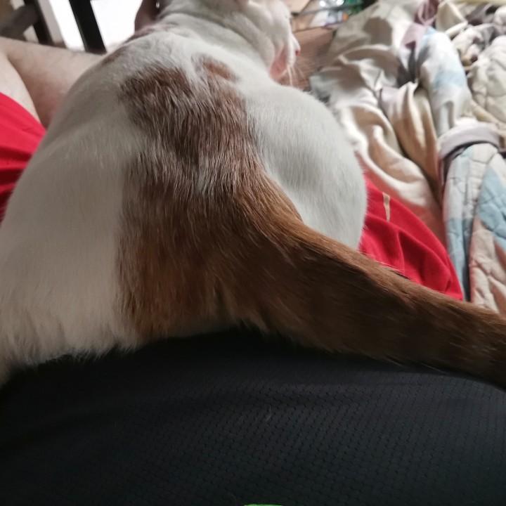 小轩哥番禺区改善家居硬件卫生安全