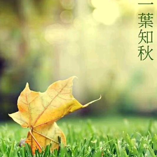 用户150505276251