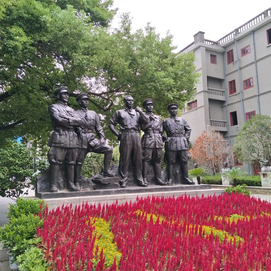 阳光大道