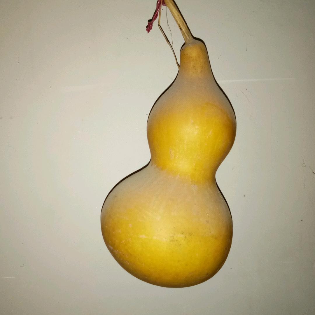 平安健康快乐！！！