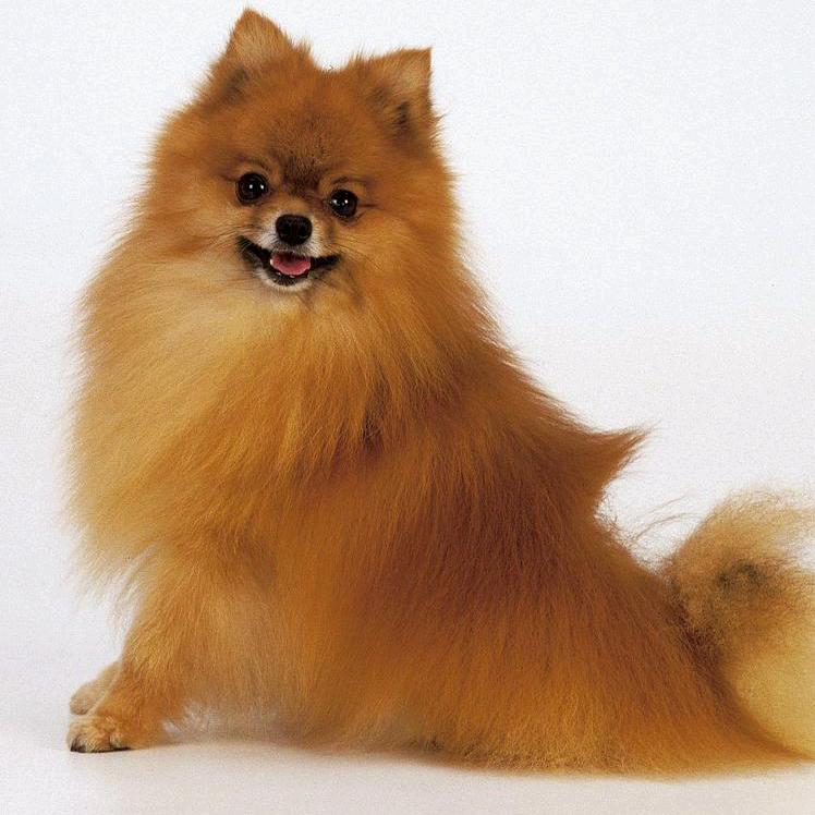 我想醉  不想醒