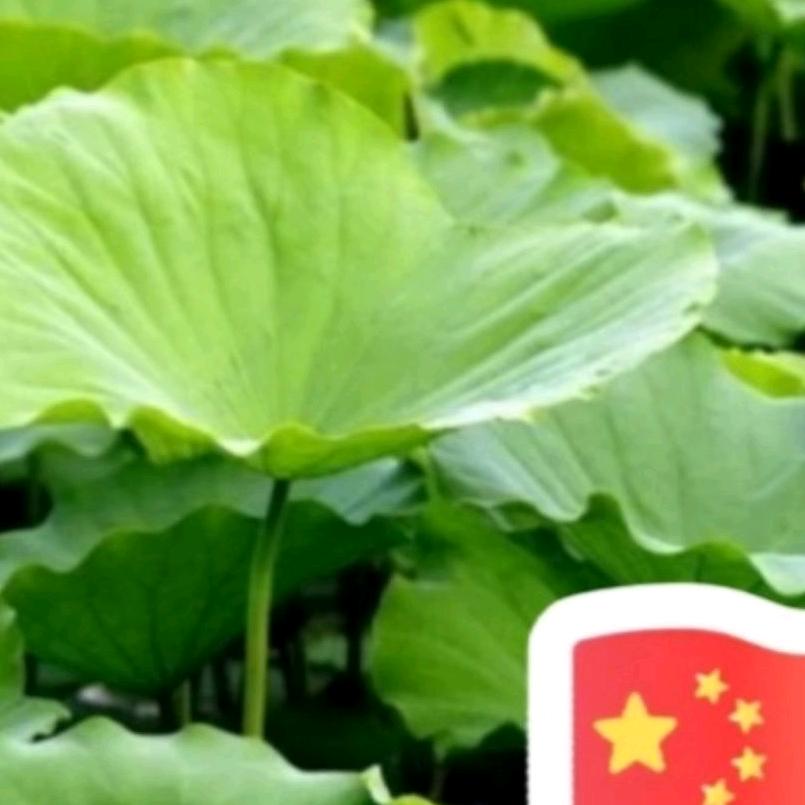 我是小美女喜欢的美男子