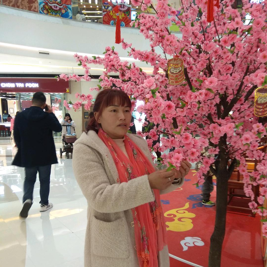 轻舞飞扬