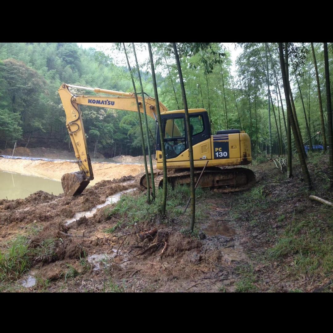 回首掏