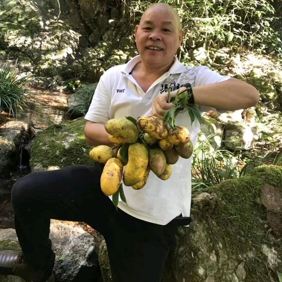 李金通