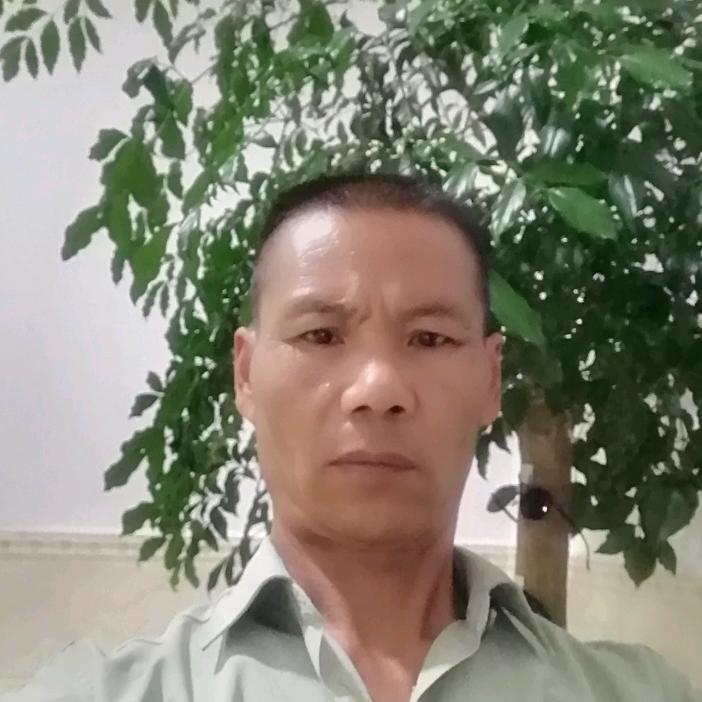 老杨哥