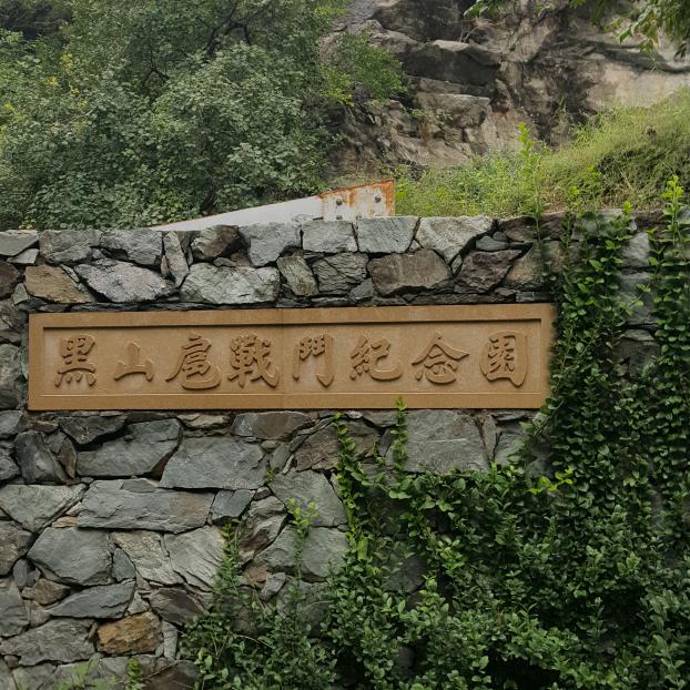 北京红枣