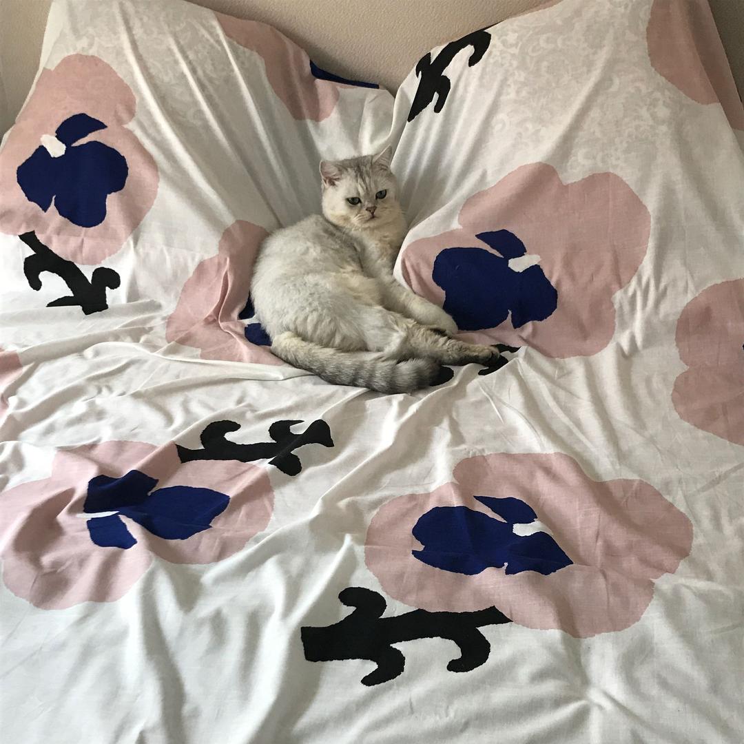 lordLucy