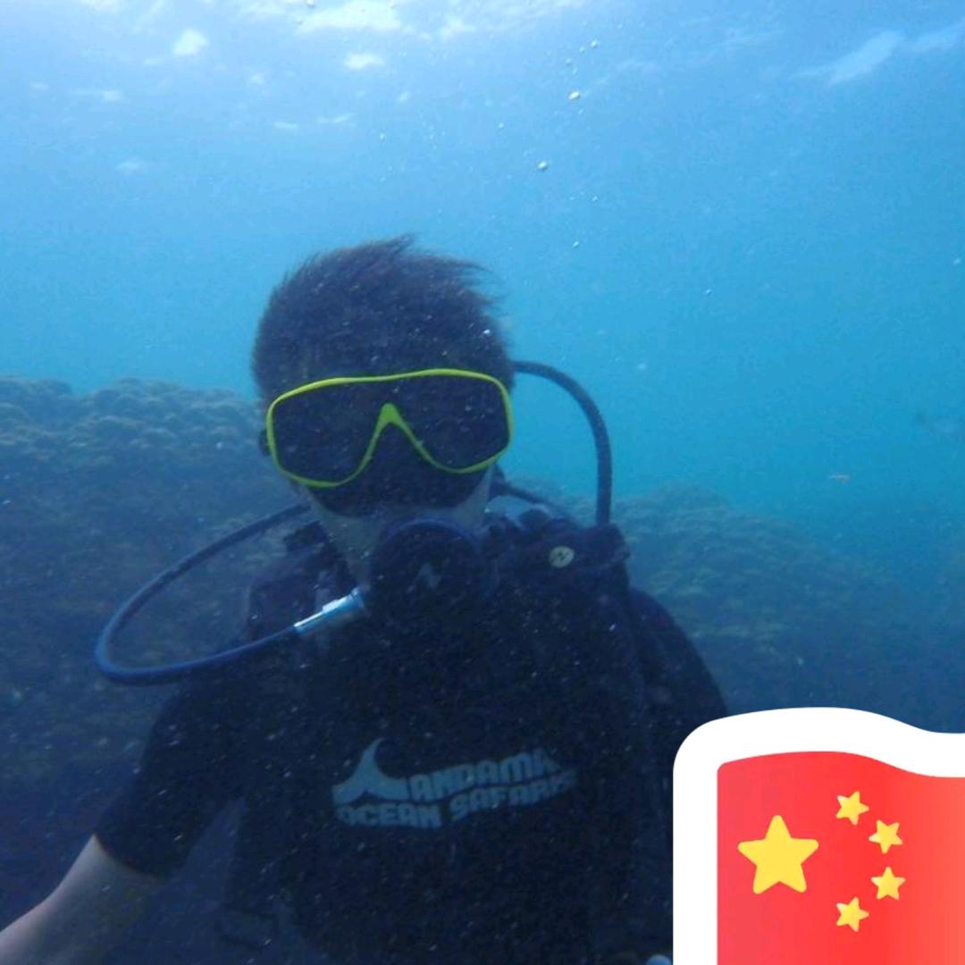 小马哥