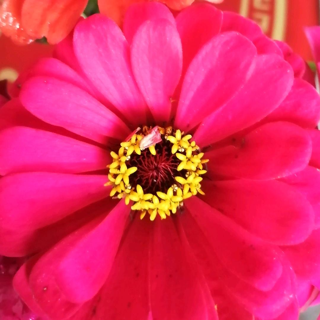 心里阳光哪都有太阳