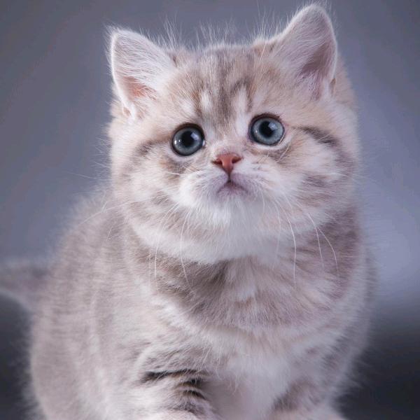 人生不如意事常八九