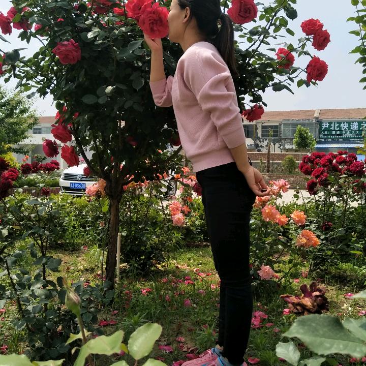 🌹管家姑娘🌹