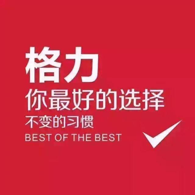 格力电器颍阳店