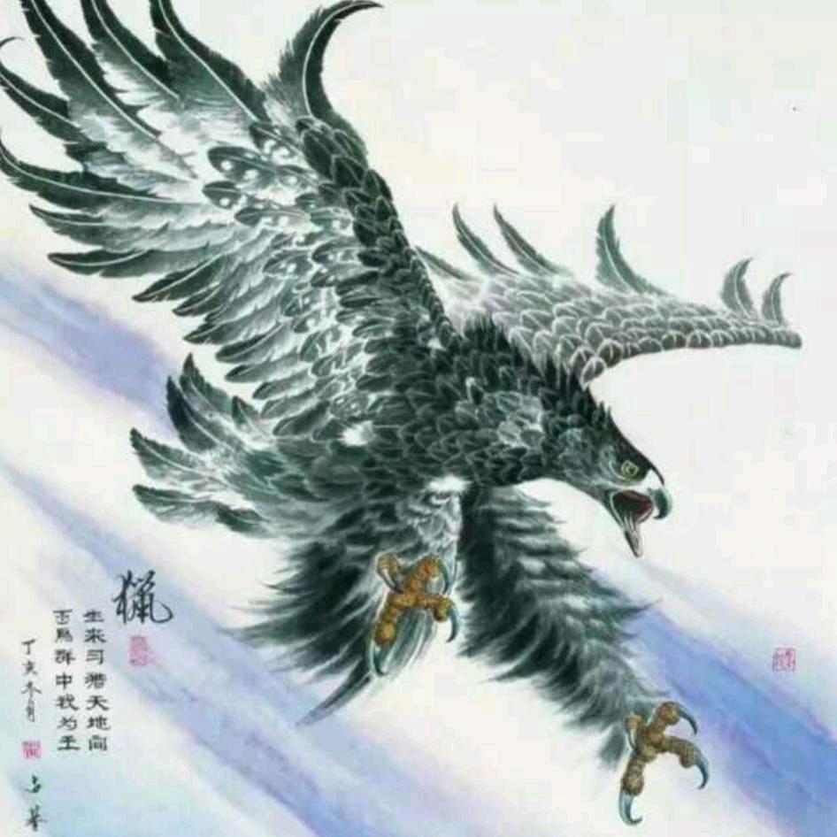 雄 鹰 翱 翔