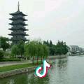 *.绿萝
