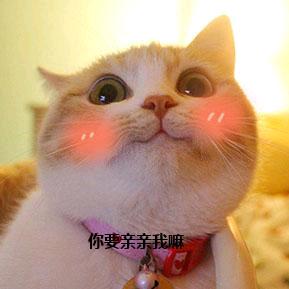 茫茫陆陆
