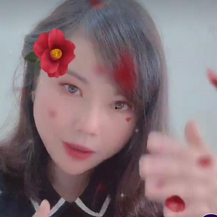 宝应苏之旅国际旅行社