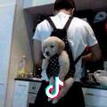 Pepper咖啡