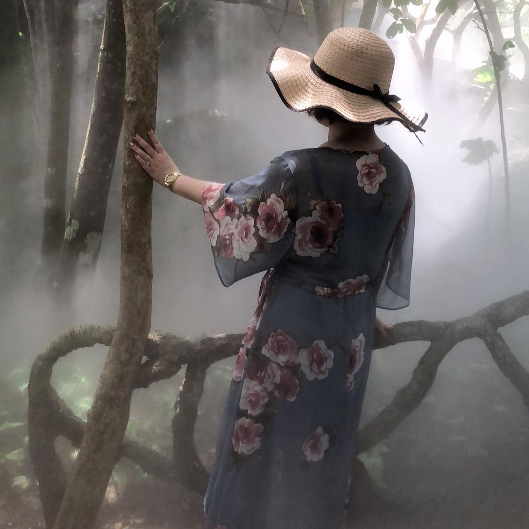 一花一世界一叶一菩提