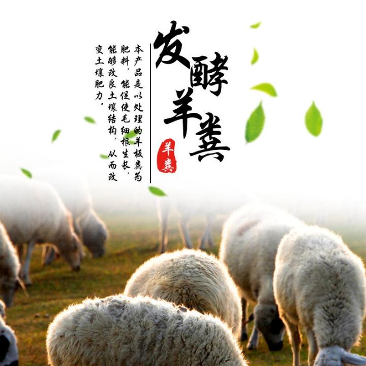 羊粪小哥
