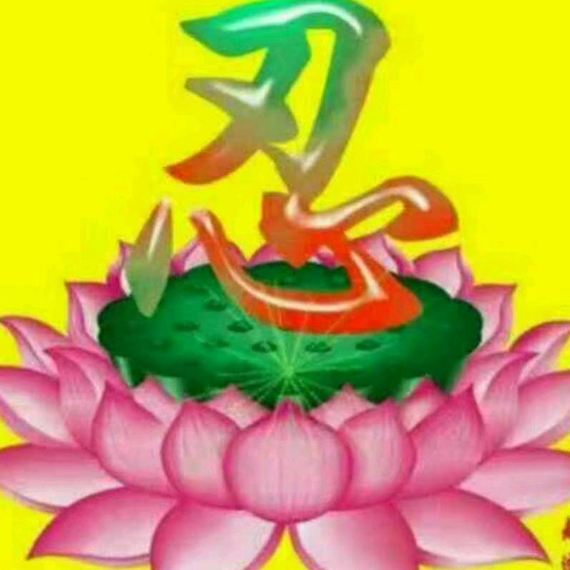 快乐一生.
