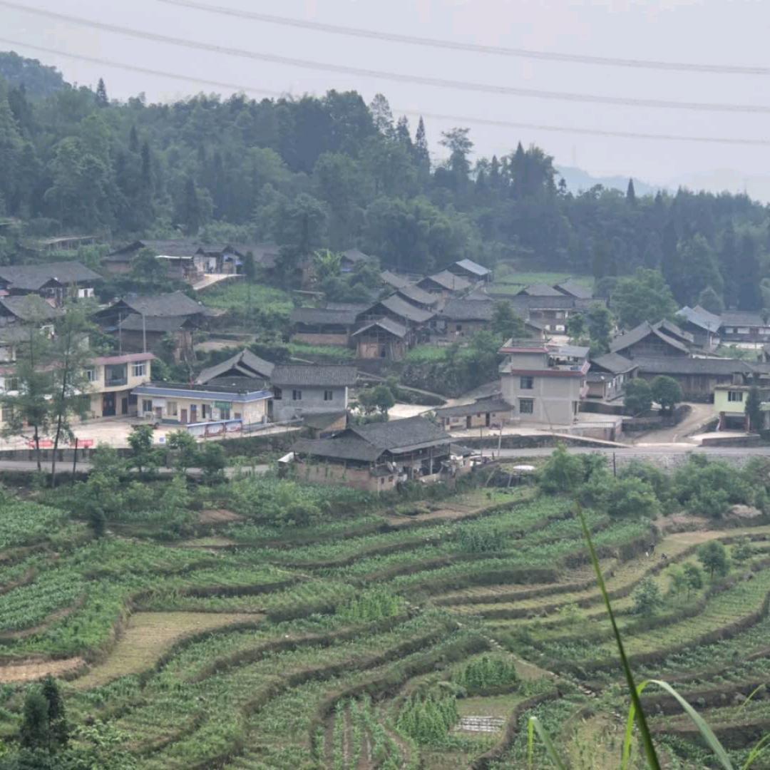 开心一家族
