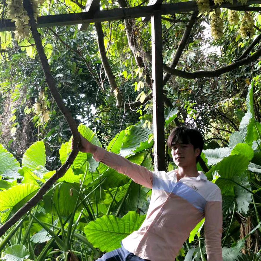 ℳঞᩚ꧔ꦿ᭄郑💞*ꦿ：