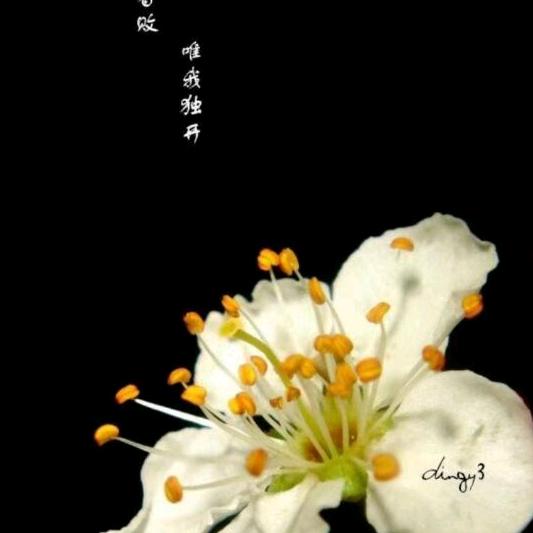慧子影视剪辑