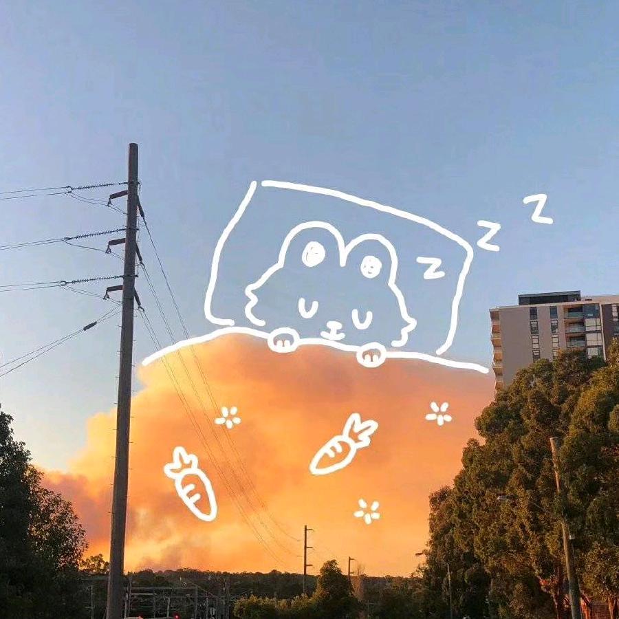 🌈咩咩🐱
