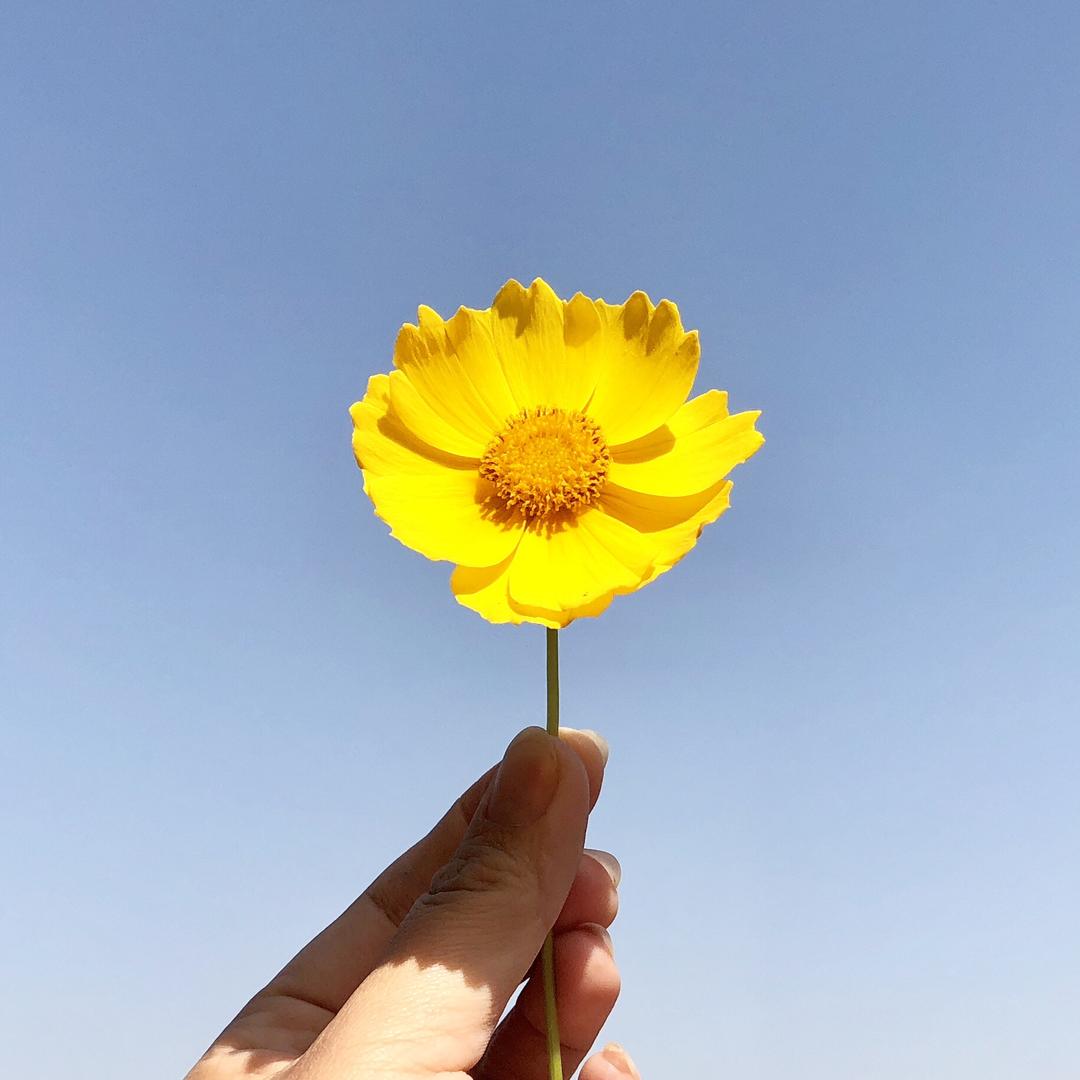 娜份甜蜜