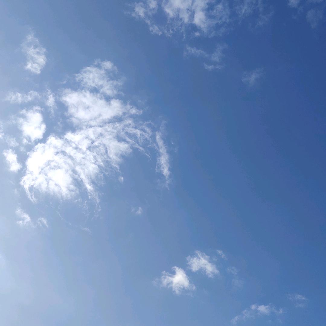 仰望蓝天。