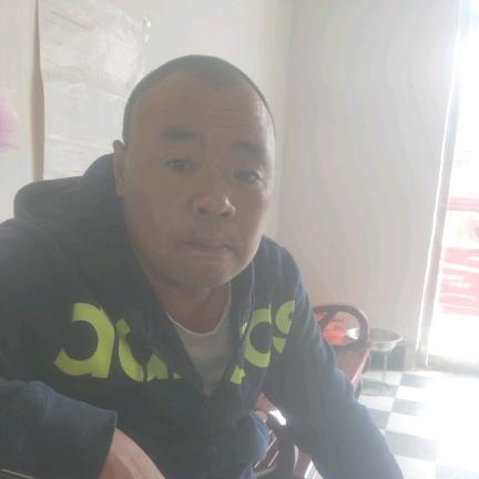 金来哥68