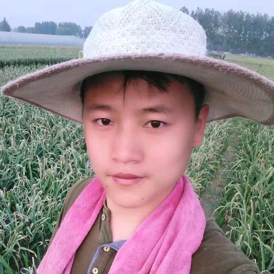 园园六六煎饼哥