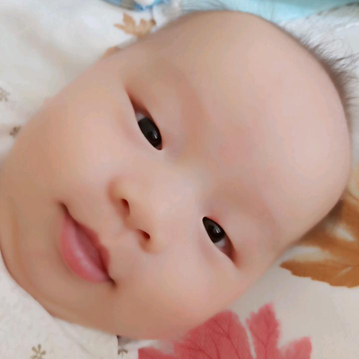元宝