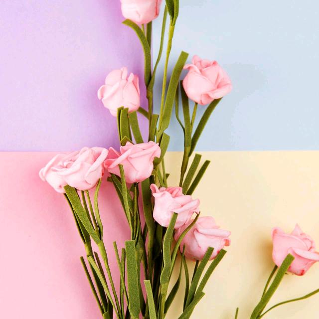 红姐(瑶华果业)