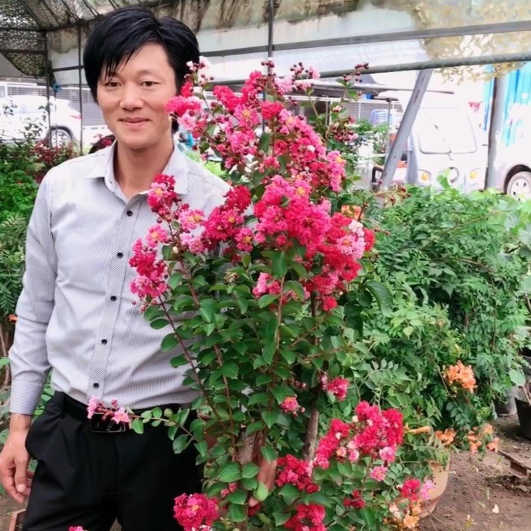 萍聚园林