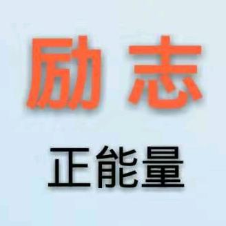 国宝小熊猫